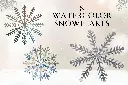 1-dpi-300_17bcfb9f-50eb-4243-9040-f8e791e7b4d7.webp