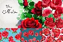 RoseCollection2_c93ede7d-018d-43ad-b745-bed2687f35e9.webp