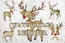 1-dpi-300_486ed5b8-c35c-4bbf-bdda-852549cb35b4.webp